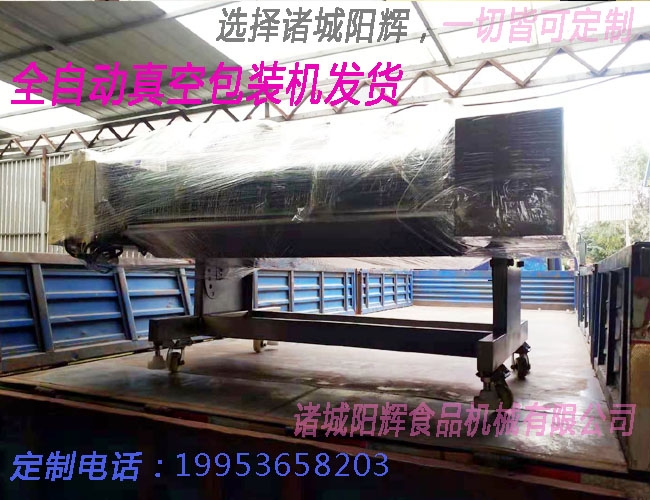 濱海滾動(dòng)式真空包裝機