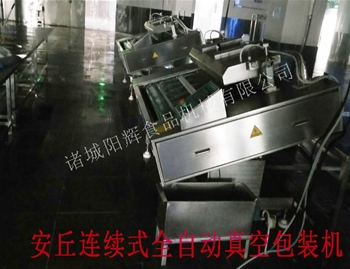安丘全自動(dòng)真空包裝機