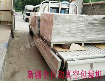 新疆全自動(dòng)真空包裝機