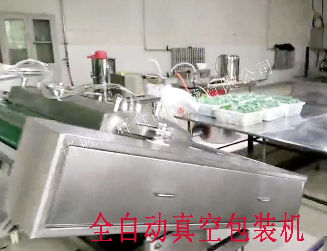 河南全自動(dòng)真空包裝機